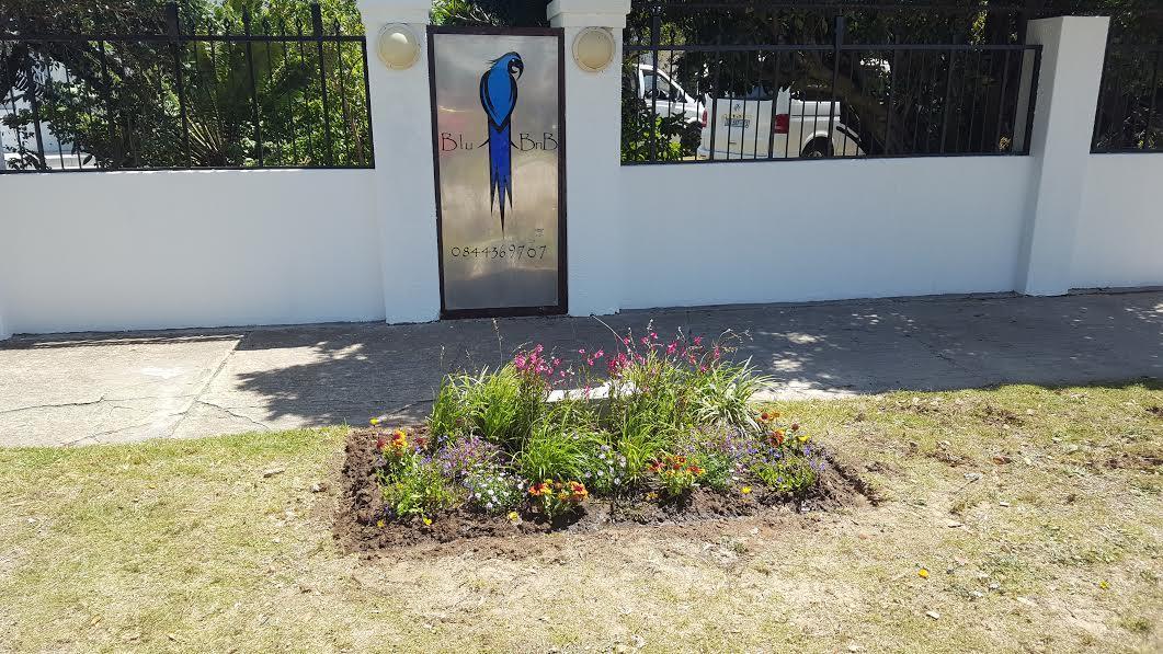Blu Bed & Breakfast Port Elizabeth Zewnętrze zdjęcie